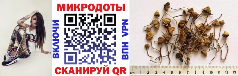 как найти закладки  Жирновск  Галлюциногенные грибы Cubensis 